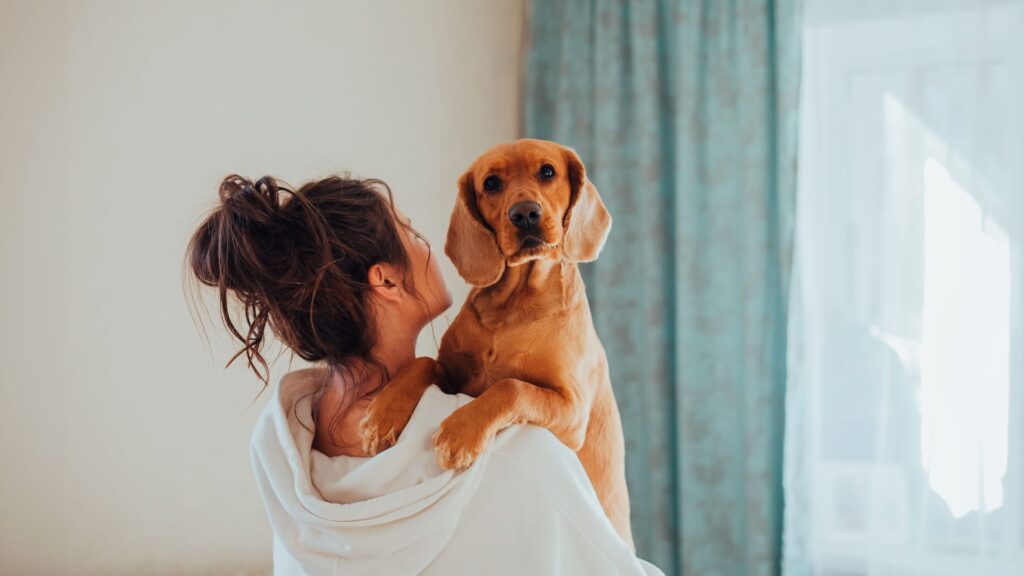 O femeie ține în brațe un câine cocker spaniel auriu, lângă o fereastră cu perdea verde-albăstruie
