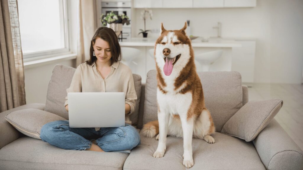 Femeie stând pe canapea cu un laptop în poală, alături de un câine husky vesel